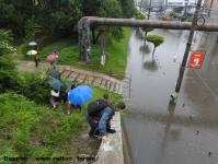 Imagine atasata: Inundatii - 2016.08.02- 186.jpg